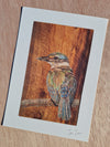 Kingfisher A4 (discontinued print)