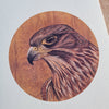 NZ Falcon round A4 (discontinued print)