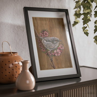 Grey Warbler with Manuka Flowers Framed