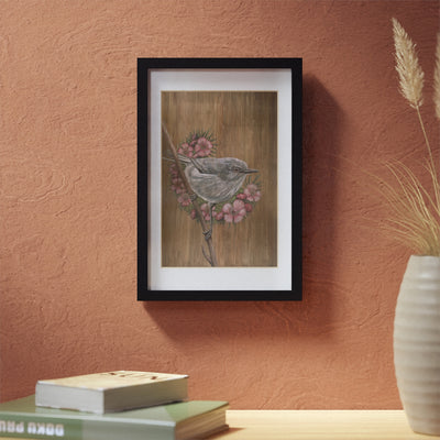 Grey Warbler with Manuka Flowers Framed