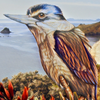 Kōtare (kingfisher) lookout