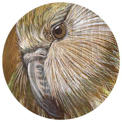 Kakapo art dot