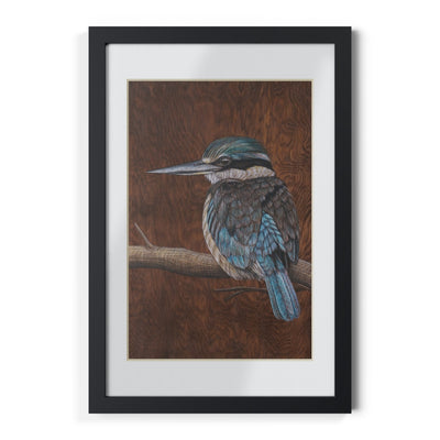 Kingfisher Framed